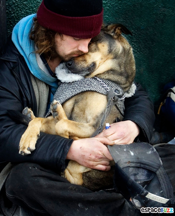 Illustration de l'article : 10 émouvantes photos de sans-abri avec leurs chiens