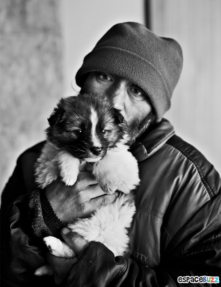 Illustration de l'article : 10 émouvantes photos de sans-abri avec leurs chiens