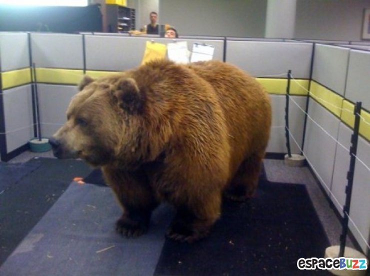 Illustration de l'article : Top 11 des coups tordus faits par des collègues de travail!