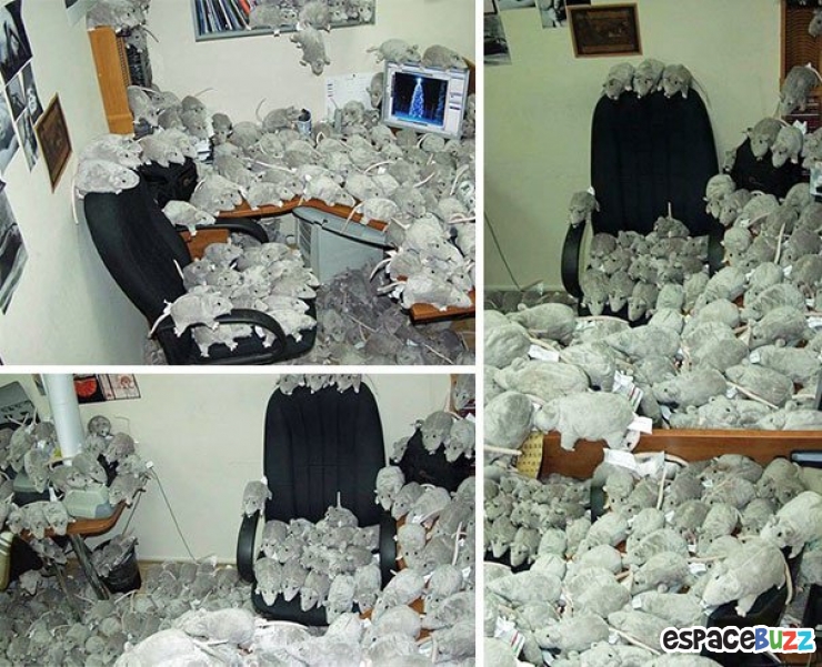 Illustration de l'article : Top 11 des coups tordus faits par des collègues de travail!