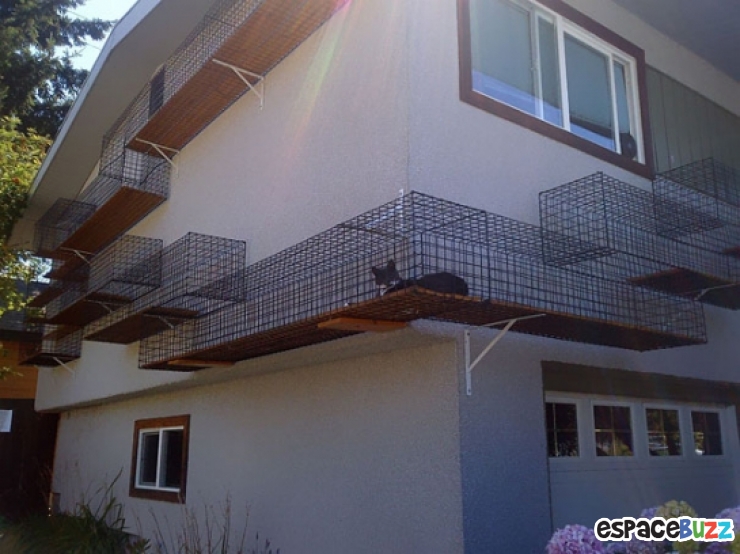 Illustration de l'article : 13 aménagements astucieux pour animaux de compagnie