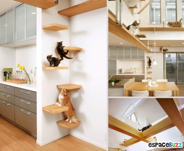 amenagement maison pour chat