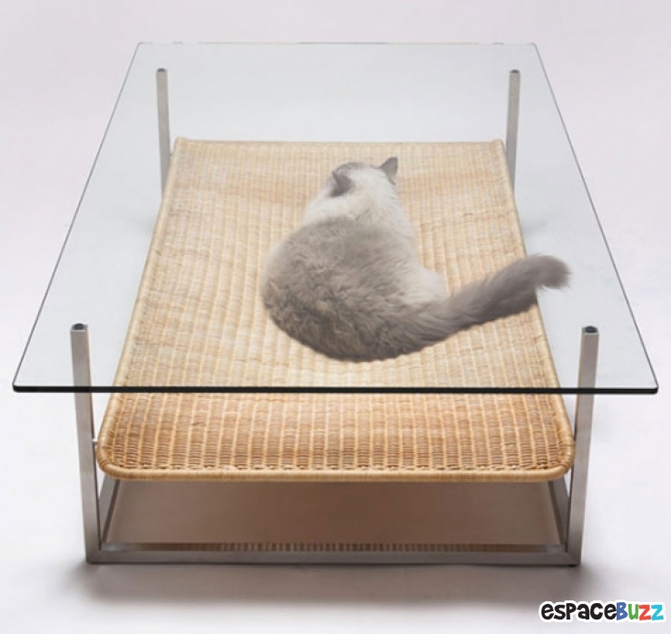 Illustration de l'article : 13 aménagements astucieux pour animaux de compagnie