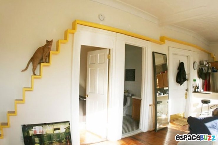 Illustration de l'article : 13 aménagements astucieux pour animaux de compagnie