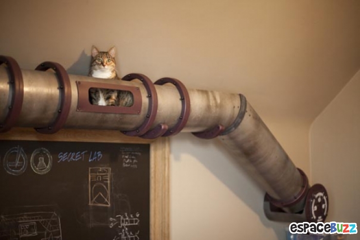 Illustration de l'article : 13 aménagements astucieux pour animaux de compagnie