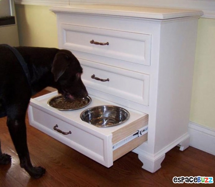 Illustration de l'article : 13 aménagements astucieux pour animaux de compagnie