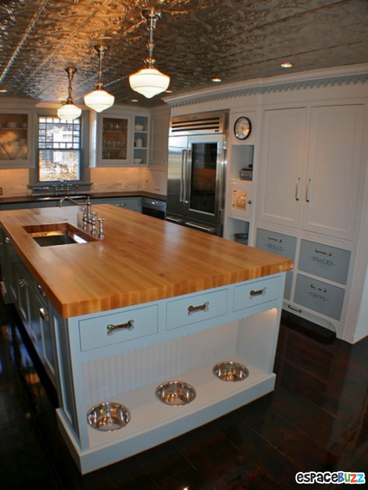 Illustration de l'article : 13 aménagements astucieux pour animaux de compagnie