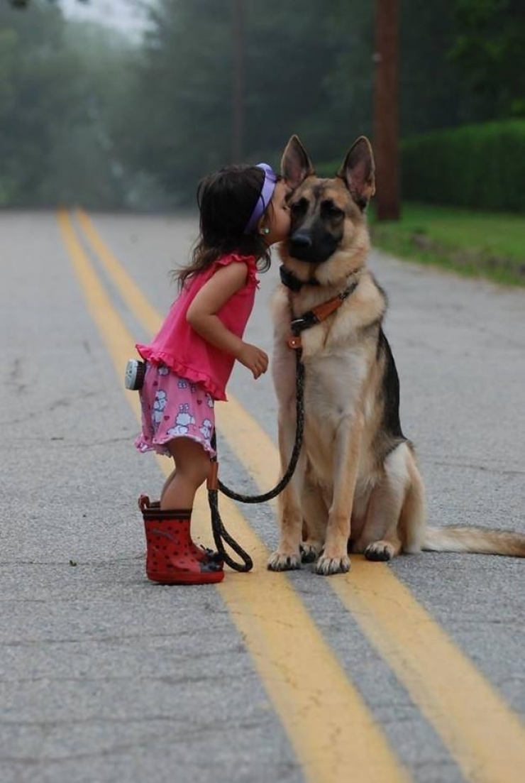 Illustration de l'article : Un hommage aux chiens pour tout l'amour qu'ils nous donnent en 18 photos