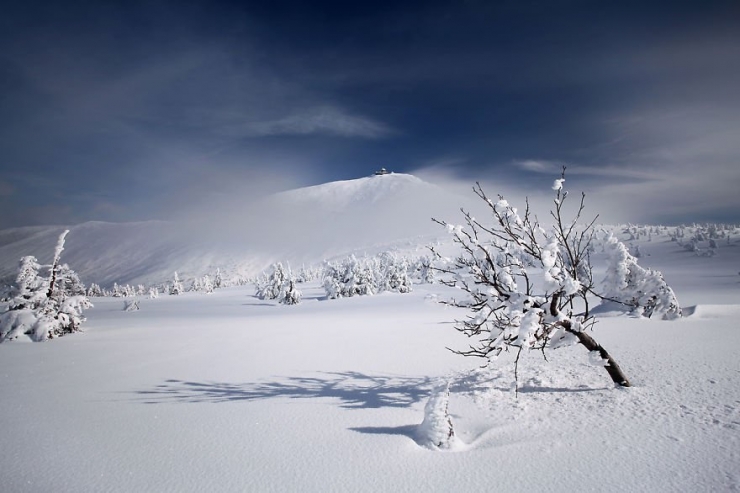 Illustration de l'article : 24 époustouflantes photos de paysages montagneux par Karol Nienartowicz