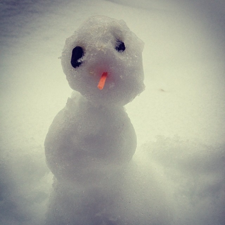Illustration de l'article : 20 bonhommes de neige qui ressemblent &agrave; tout sauf &agrave; des bonhommes de neige