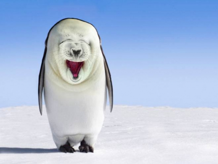 Illustration de l'article : 17 animaux hybrides, issus de croisements photoshopés