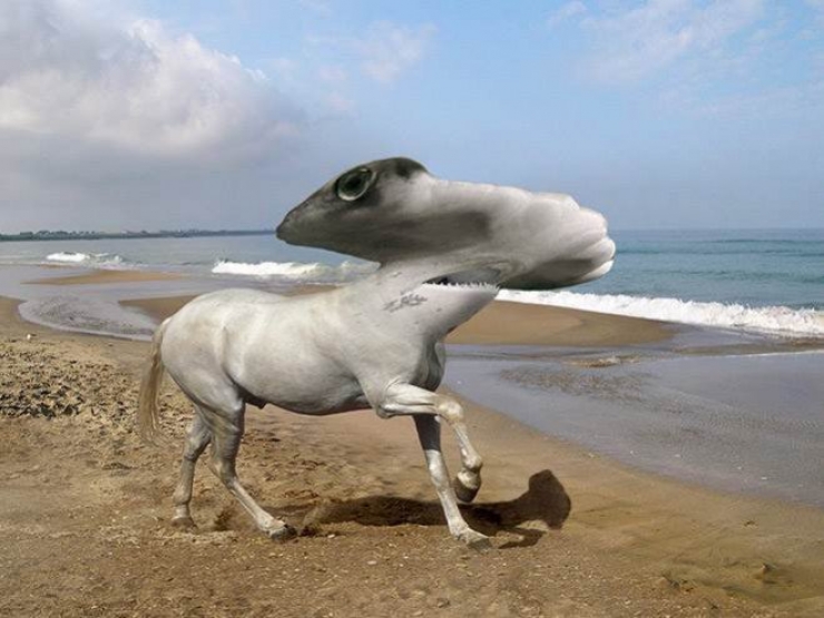 Illustration de l'article : 17 animaux hybrides, issus de croisements photoshopés