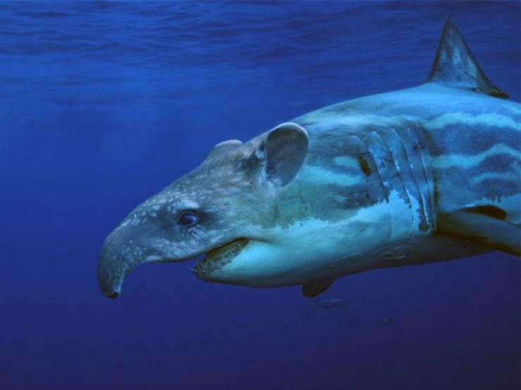 Illustration de l'article : 17 animaux hybrides, issus de croisements photoshopés