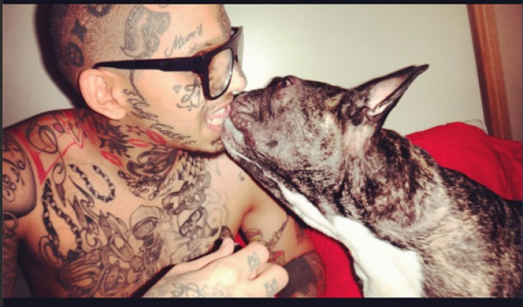 Illustration de l'article : Swaggy Doggy, la nouvelle Star du Web!