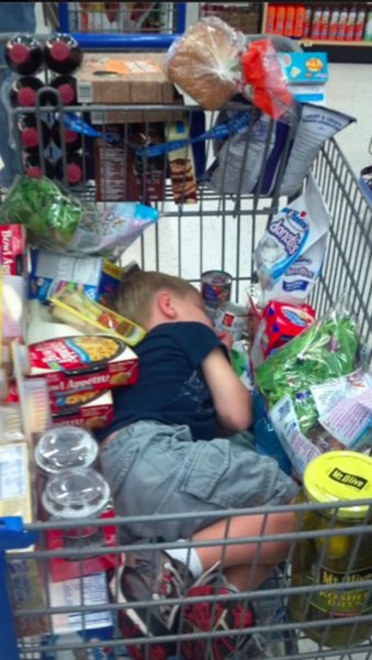 Illustration de l'article : 18 images qui prouvent que faire les courses avec ses enfants n'est pas toujours conseillé!
