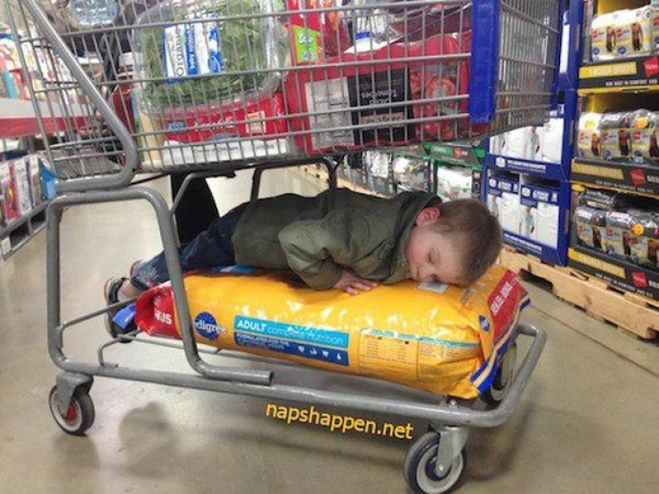 Illustration de l'article : 18 images qui prouvent que faire les courses avec ses enfants n'est pas toujours conseillé!