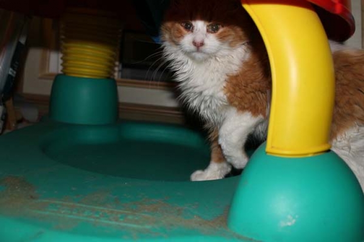 Illustration de l'article : Ce papa n'aurait jamais pu s'imaginer qu'il tomberait la dessus en trouvant une boite enfouie dans la neige!