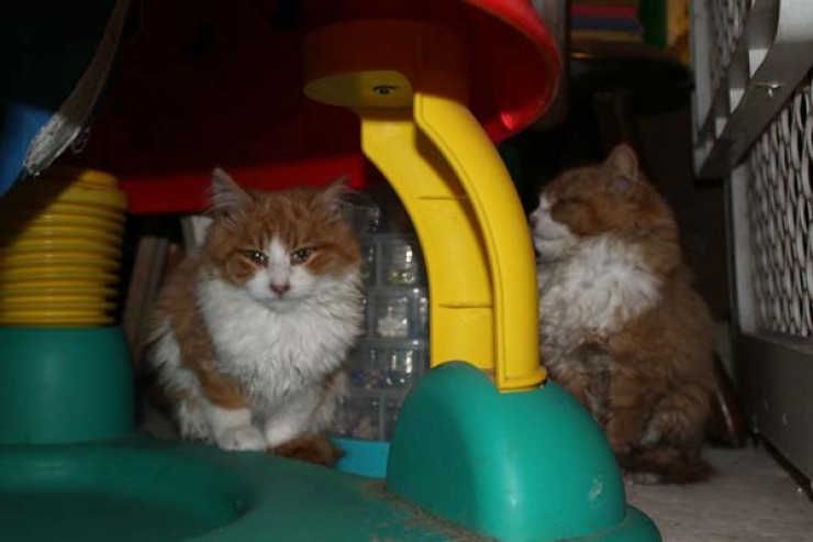 Illustration de l'article : Ce papa n'aurait jamais pu s'imaginer qu'il tomberait la dessus en trouvant une boite enfouie dans la neige!