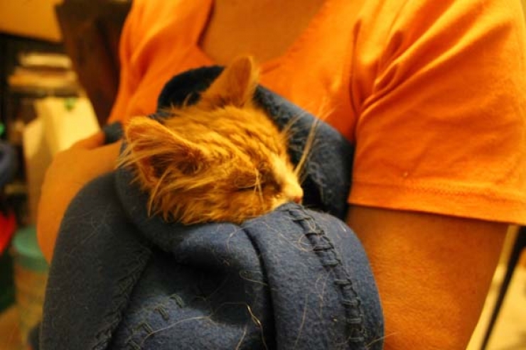 Illustration de l'article : Ce papa n'aurait jamais pu s'imaginer qu'il tomberait la dessus en trouvant une boite enfouie dans la neige!