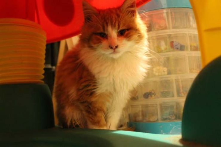 Illustration de l'article : Ce papa n'aurait jamais pu s'imaginer qu'il tomberait la dessus en trouvant une boite enfouie dans la neige!