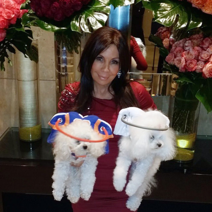 Illustration de l'article : Ce que cette femme a mis au point pour rendre la vie facile à son chien aveugle est juste magnifique!