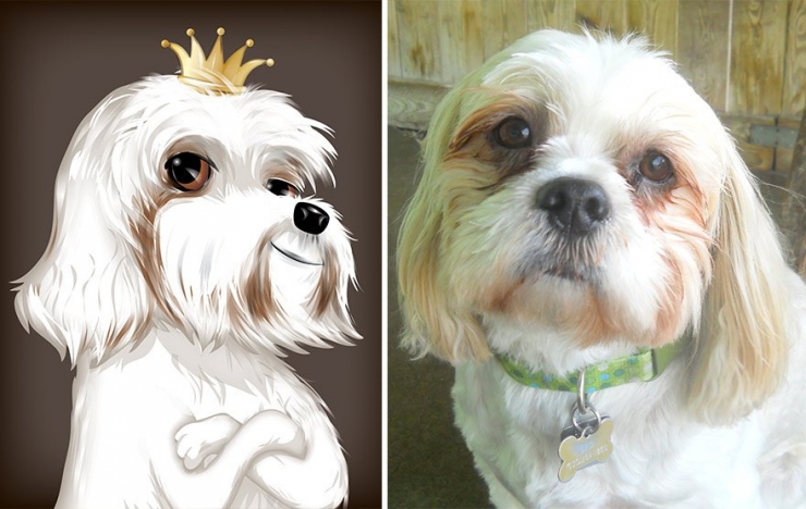 Illustration de l'article : Cette artiste prend des photos d'animaux qu'elle transforme en cartoons pour le plus grand plaisir des enfants! Quel talent!