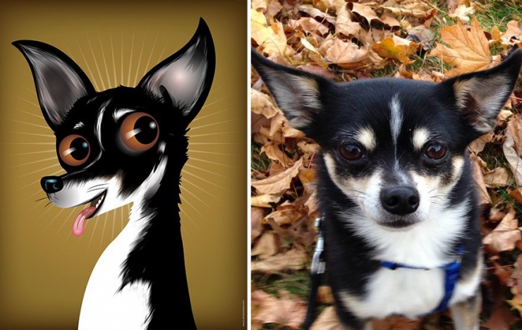 Illustration de l'article : Cette artiste prend des photos d'animaux qu'elle transforme en cartoons pour le plus grand plaisir des enfants! Quel talent!