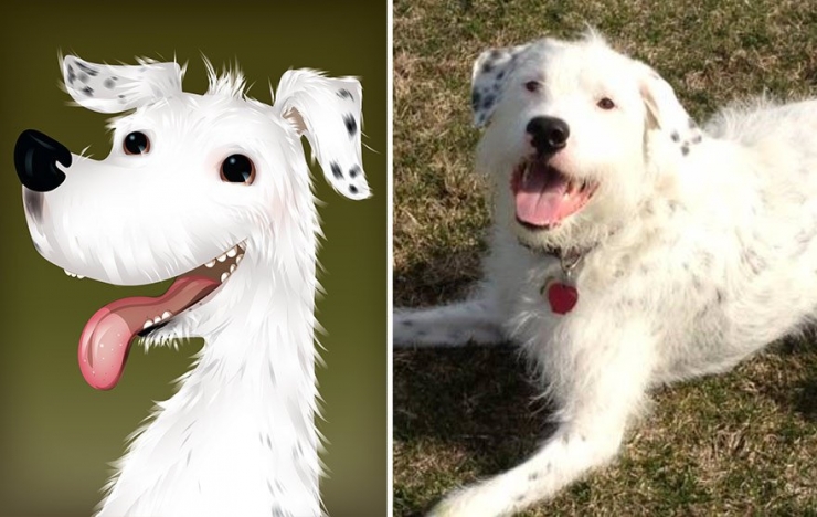 Illustration de l'article : Cette artiste prend des photos d'animaux qu'elle transforme en cartoons pour le plus grand plaisir des enfants! Quel talent!