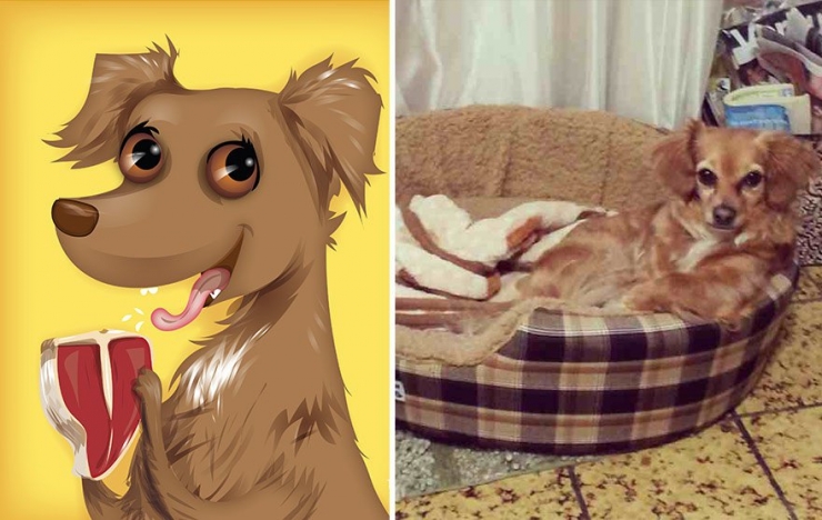 Illustration de l'article : Cette artiste prend des photos d'animaux qu'elle transforme en cartoons pour le plus grand plaisir des enfants! Quel talent!