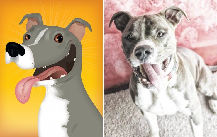 Illustration de l'article : Cette artiste prend des photos d'animaux qu'elle transforme en cartoons pour le plus grand plaisir des enfants! Quel talent!