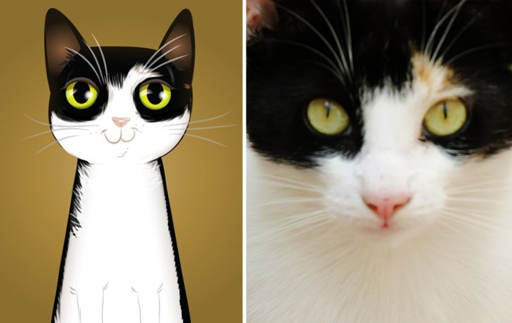 Illustration de l'article : Cette artiste prend des photos d'animaux qu'elle transforme en cartoons pour le plus grand plaisir des enfants! Quel talent!