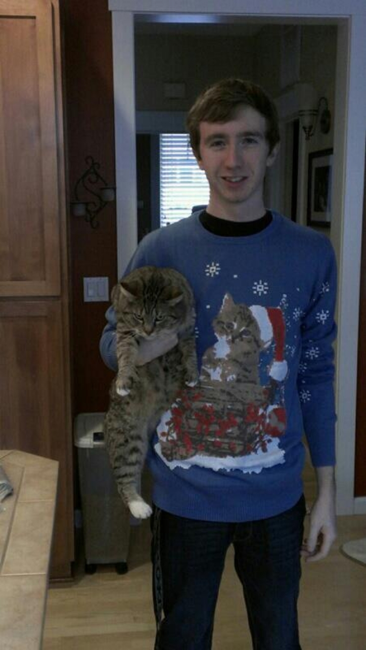 Illustration de l'article : Ces 15 animaux qui n'ont pas tr&egrave;s envie de nous suivre dans notre d&eacute;lire de No&euml;l