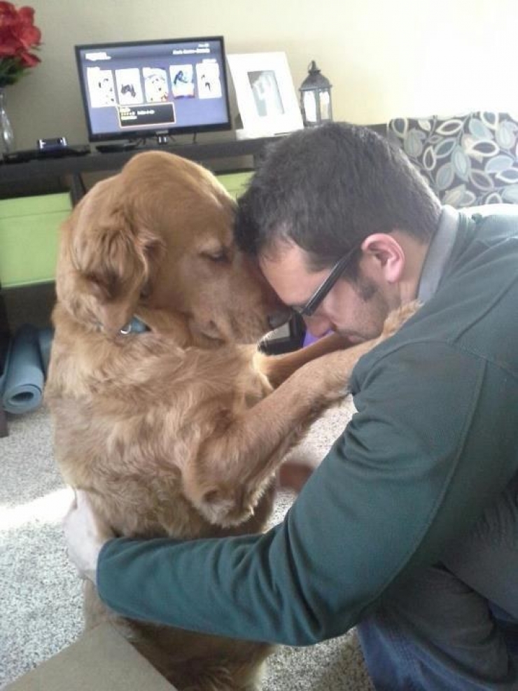 Illustration de l'article : 18 photos qui prouvent que l'amiti&eacute; n'est pas un vain mot chez les animaux