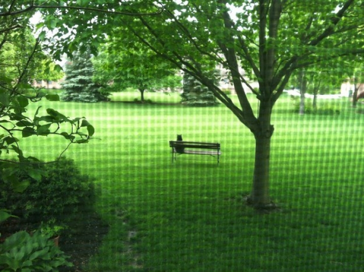 Illustration de l'article : Ces 24 chats qui ne se prennent pas pour des chats sont incroyables !