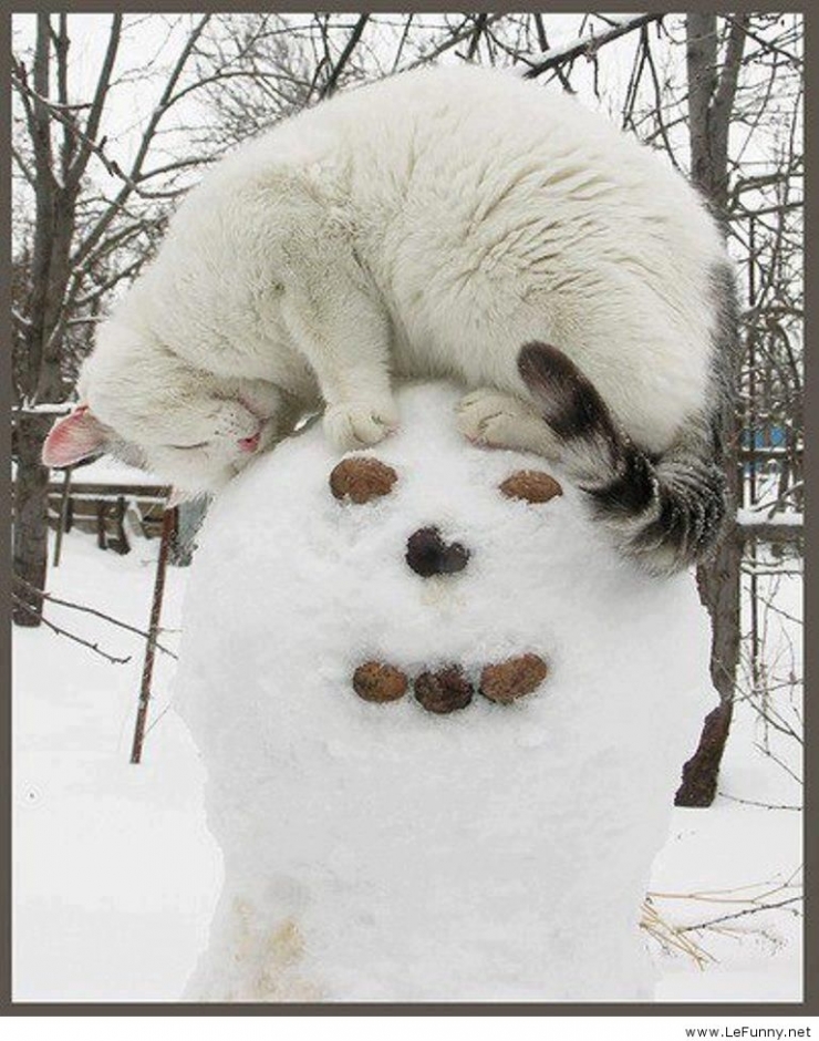 Illustration de l'article : 35 id&eacute;es de bonhommes de neige parmi les plus impressionnants du moment! 