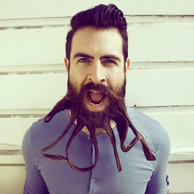 Illustration de l'article : 17 photos d'Incredibeard, l'artiste aux multiples styles de barbe