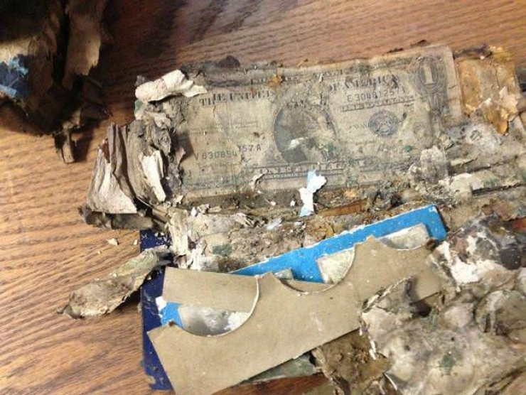 Illustration de l'article : Ce qu'a d&eacute;couvert cette famille sous leur escalier est inimaginable !