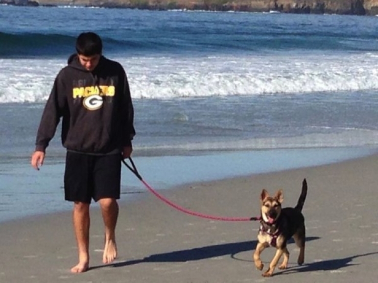 Illustration de l'article : L'incroyable transformation d'un pauvre chien abandonn&eacute; &agrave; seulement 6 mois!