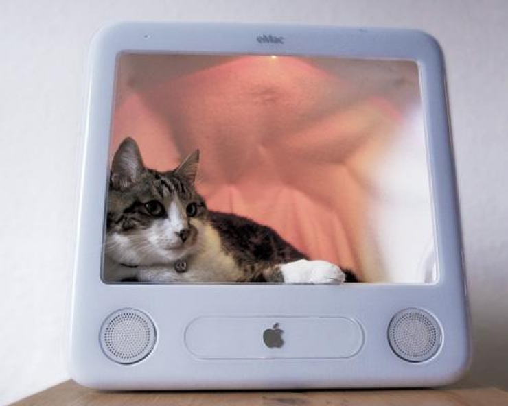 Illustration de l'article : 36 id&eacute;es incroyables de Lits pour animaux! Entre recyclage et d&eacute;tournements d'objets!