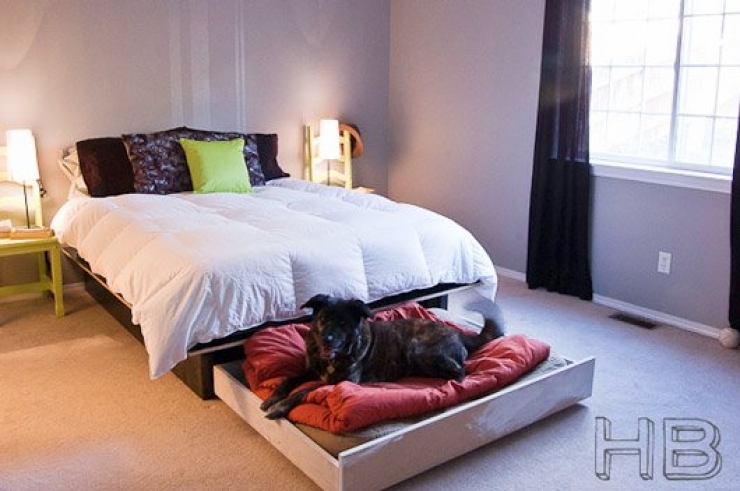 Illustration de l'article : 36 id&eacute;es incroyables de Lits pour animaux! Entre recyclage et d&eacute;tournements d'objets!