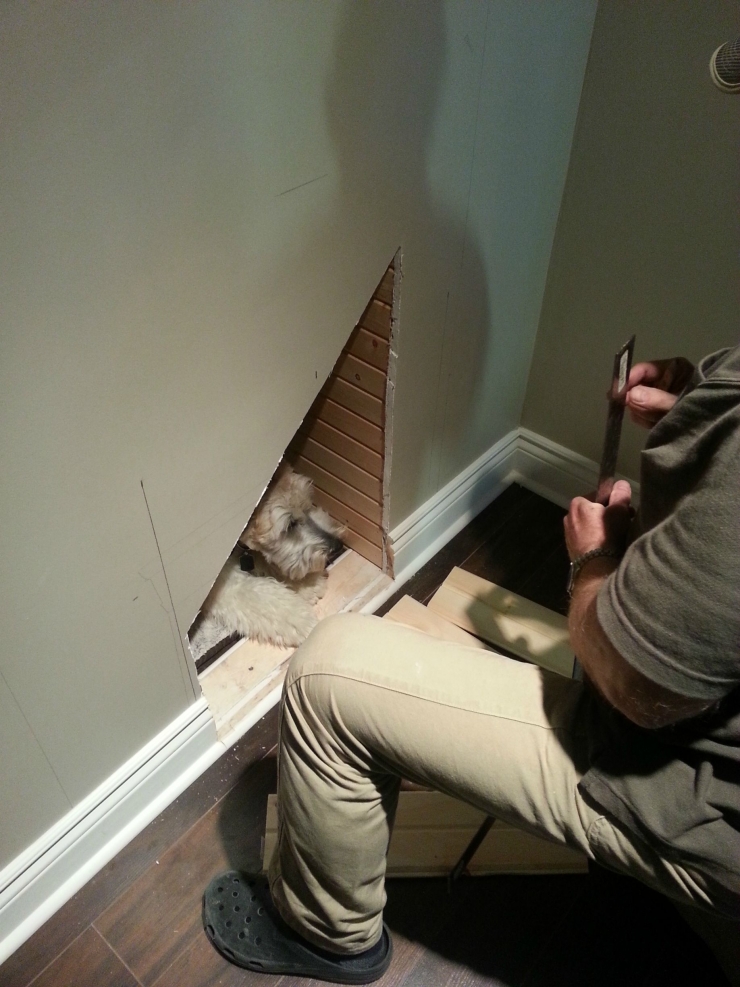 Illustration de l'article : Cet homme qui fait un trou dans le mur est un pur génie! Attendez de voir la suite!