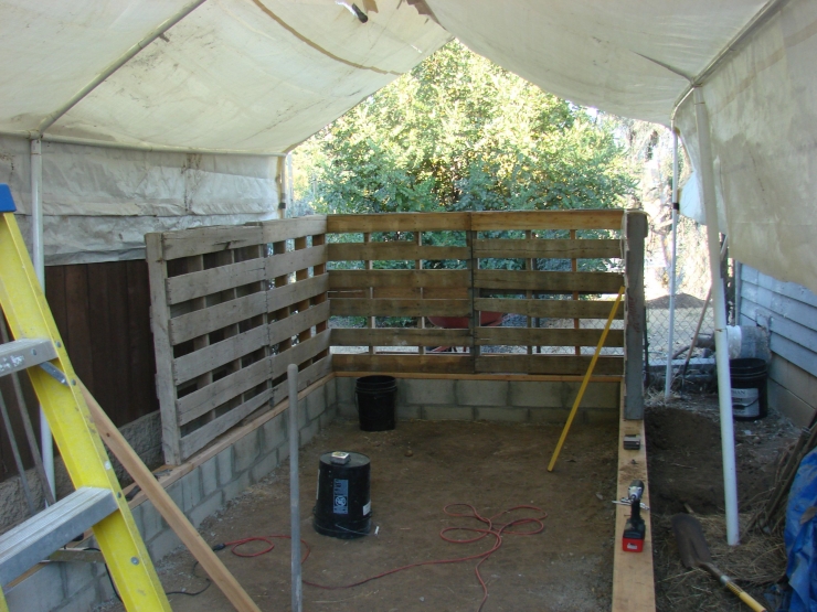 Illustration de l'article : Cet homme est tomb&eacute; sur ce tas de palettes dans les ordures! Attendez de voir ce qu'il en a fait!