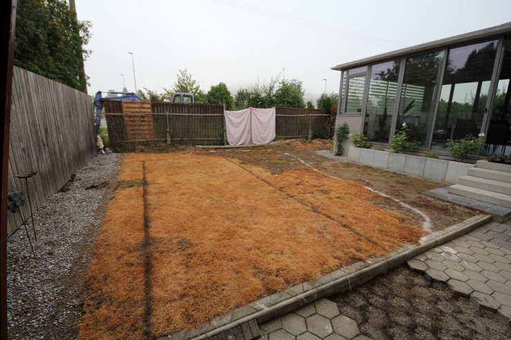 Illustration de l'article : Sa cour arrière était à l'abandon et assez hideuse, jusqu'à ce qu'il décide de la transformer! Chapeau l'artiste!