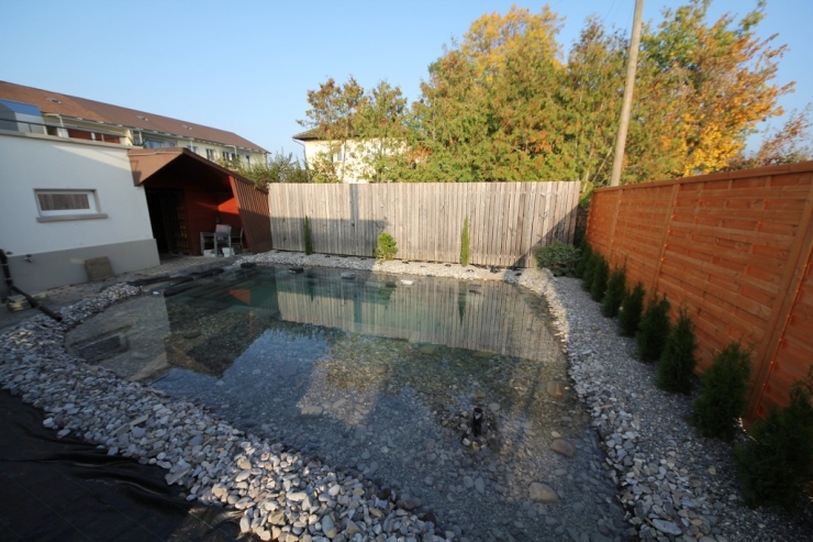 Illustration de l'article : Sa cour arrière était à l'abandon et assez hideuse, jusqu'à ce qu'il décide de la transformer! Chapeau l'artiste!