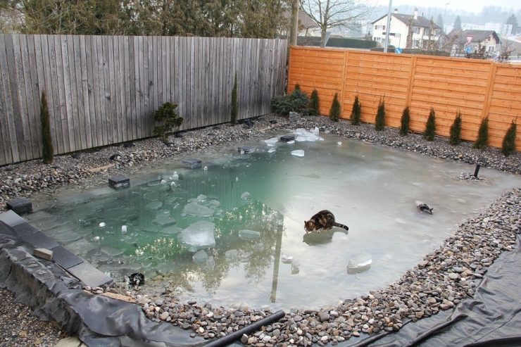 Illustration de l'article : Sa cour arri&egrave;re &eacute;tait &agrave; l'abandon et assez hideuse, jusqu'&agrave; ce qu'il d&eacute;cide de la transformer! Chapeau l'artiste!