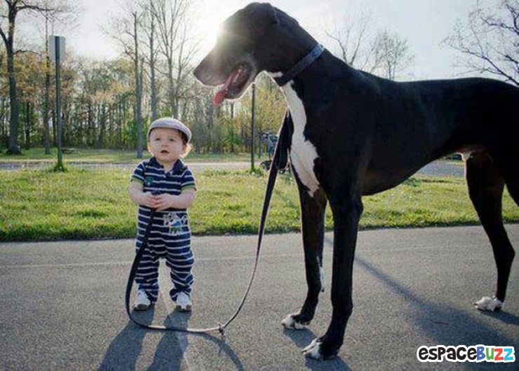 Illustration de l'article : L’amitié entre bébés et animaux à travers 14 photos attendrissantes!