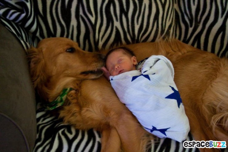 Illustration de l'article : L’amitié entre bébés et animaux à travers 14 photos attendrissantes!
