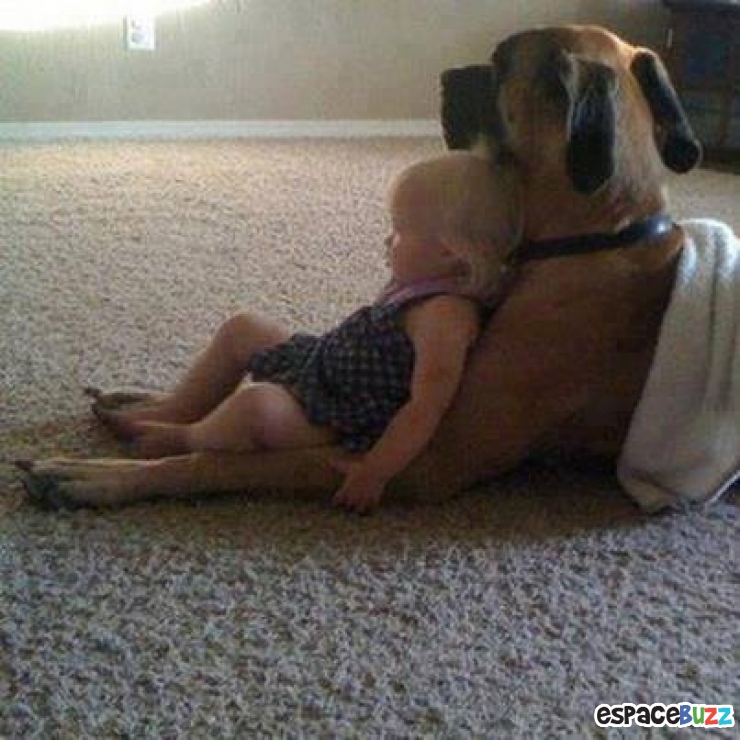 Illustration de l'article : L’amitié entre bébés et animaux à travers 14 photos attendrissantes!