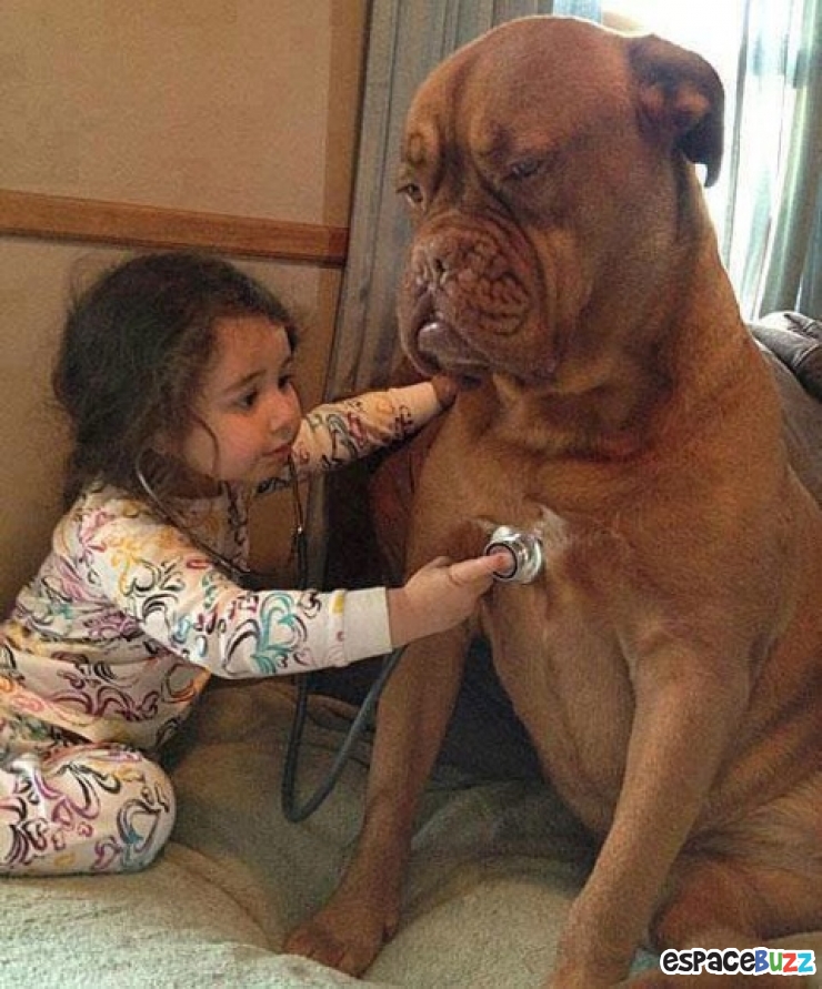 Illustration de l'article : L’amitié entre bébés et animaux à travers 14 photos attendrissantes!