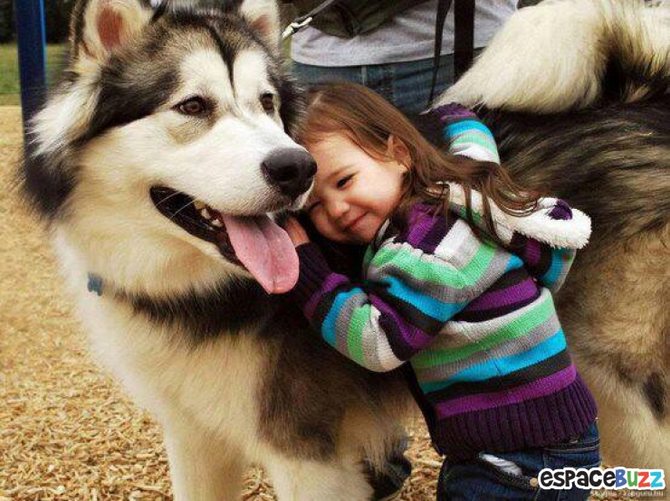 Illustration de l'article : L’amitié entre bébés et animaux à travers 14 photos attendrissantes!